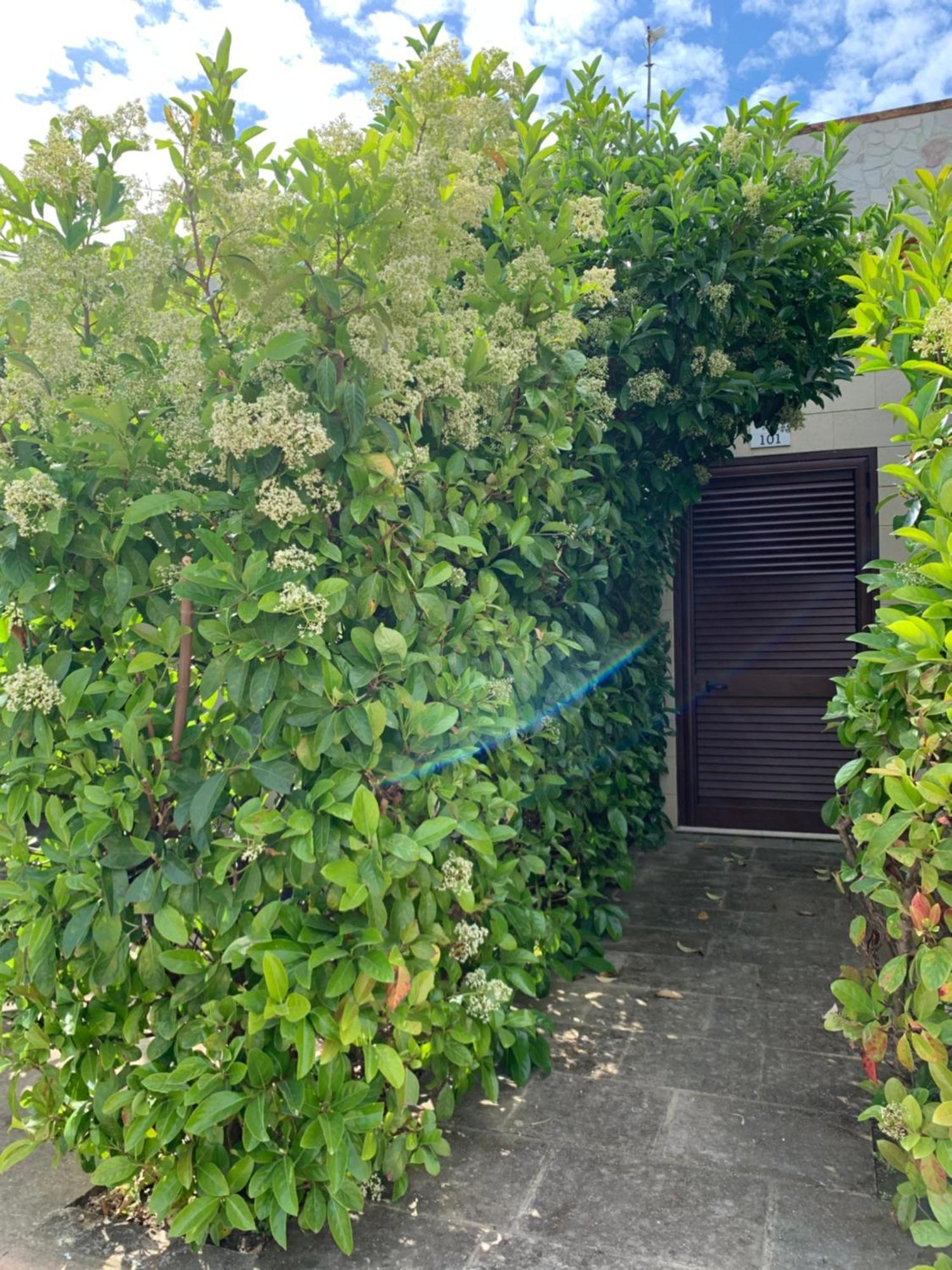 Agriturismo Tenuta Don Giovanni Melendugno Exterior foto